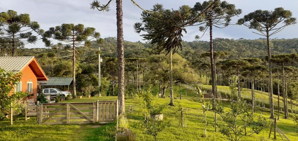 Chalé Bienz - Hospedagem Rural Urubici Buitenkant foto